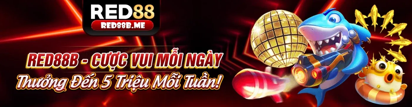 Tổng quan về các chương trình khuyến mãi của 1bmw link mới
